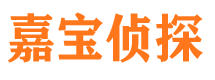 陈仓侦探公司